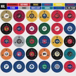 Green Biscuit NHL Team Logo Puck